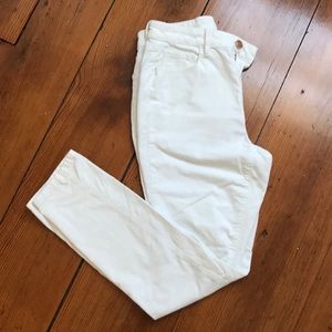 Loft skinny cords